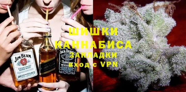молекула духа Богородск