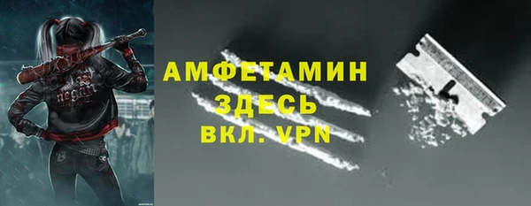молекула духа Богородск