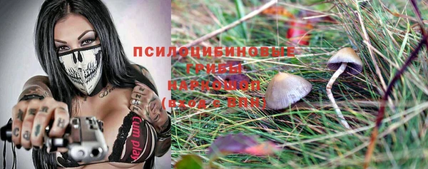Альфа ПВП Белокуриха