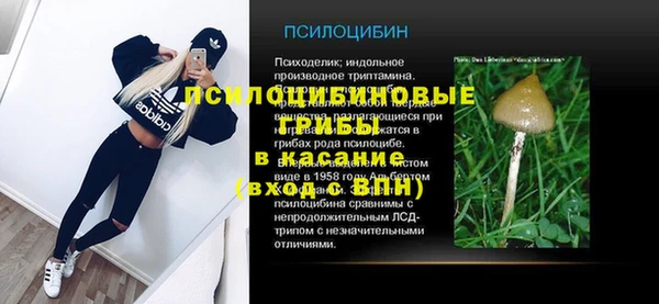 хмурый Богородицк