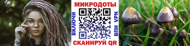 Купить где  Болхов  Галлюциногенные грибы Magic Shrooms 